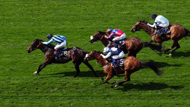 Regional (near side) just failed to catch Asfoora at Ascot