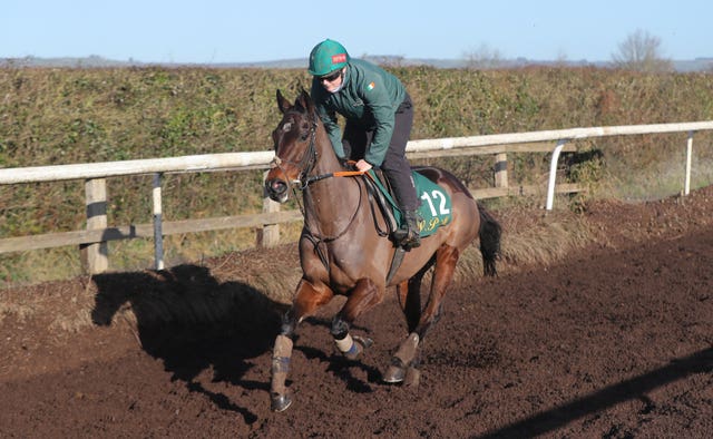Sharjah and Eilish Byrne on the gallops at Willie Mullins' Closutton yard
