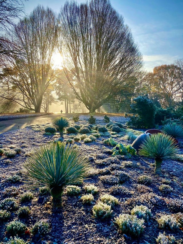 A Winter’s day at Wisley by Richard Turner, which has come first in the Celebrating Gardens category