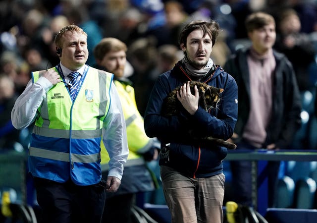 A man retrieves a cat from the pitch during the Sky Bet League One match at Hillsborough, Sheffield. Picture date: Tuesday February 8, 2022