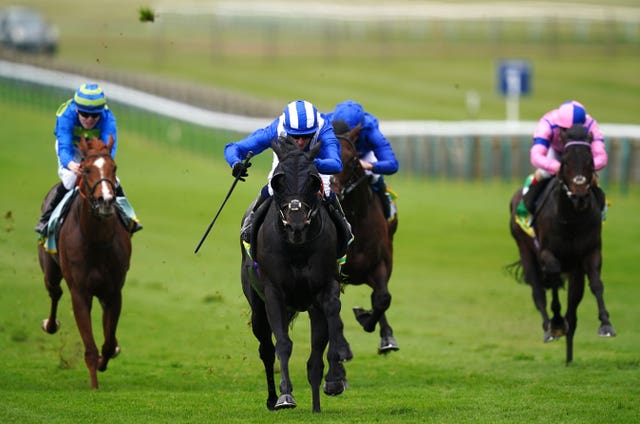 Mutasaabeq has a fine record on the Rowley Mile