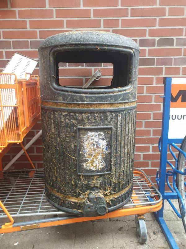 Bin goes on an adventure