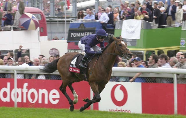Phoenix have some blue-blooded yearlings set to go through the ring including by pre-eminent sire Galileo