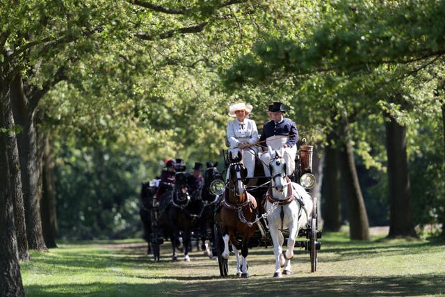 Royal Windsor Horse Show