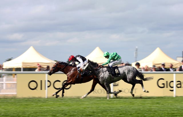 Free Eagle was a Royal Ascot winner for Smullen