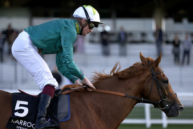 Scope is a favourite horse of Rob Hornby's