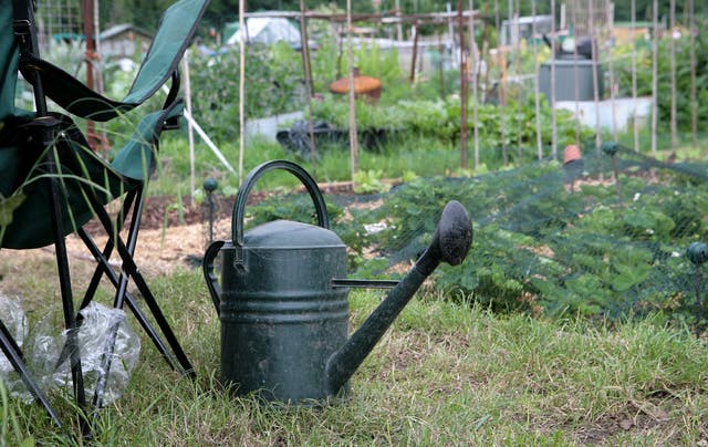 Allotments stock