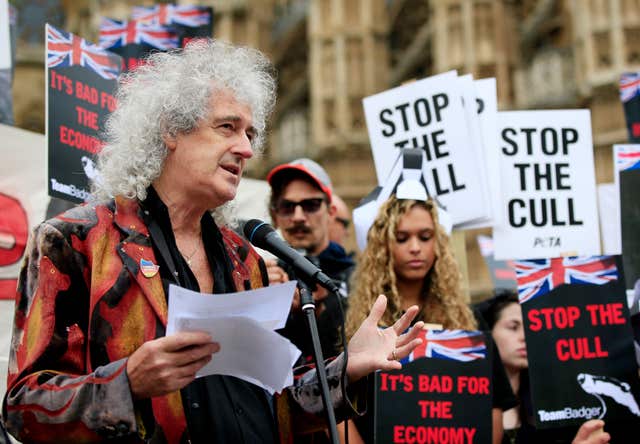Badger cull protest