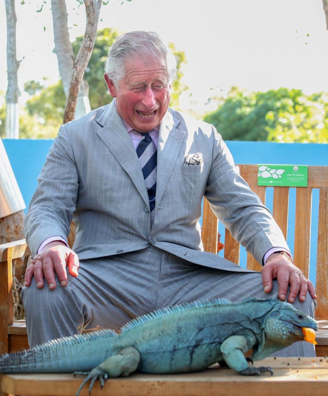 Charles petted the animal after the photographers and journalists told him it was safe