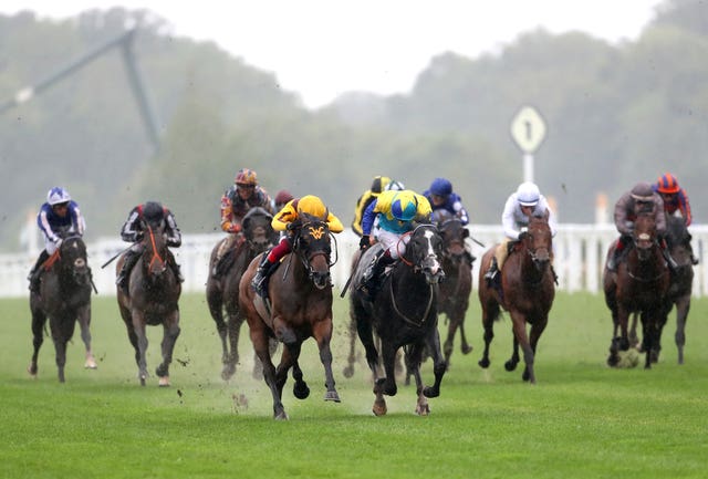 Dragon Symbol (blue cap) in action at Royal Ascot against Campanelle