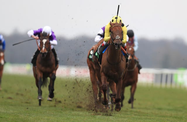 Zabeel Prince leads home his rivals in the Doncaster Mile