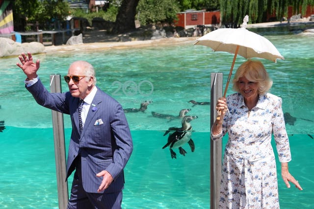 King Charles III and Queen Camilla arrive for a visit to Penguin Beach to celebrate the 200th anniversary of Zoological Society of London, at London Zoo, in Regent’s Park, north London
