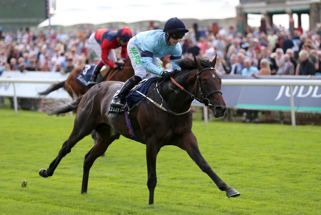 Royal Patronage winning the Acomb Stakes at York last year