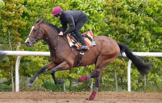 Changingoftheguard returns to action at Ascot