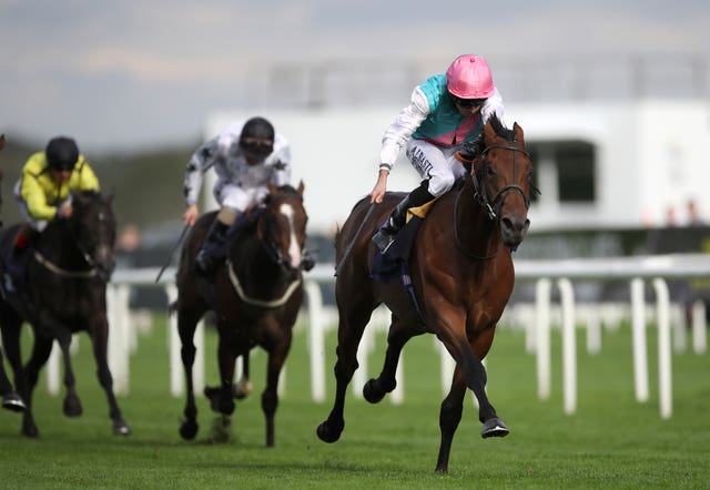 Sangarius looked the real deal when winning a race won in the past by Frankel at Doncaster