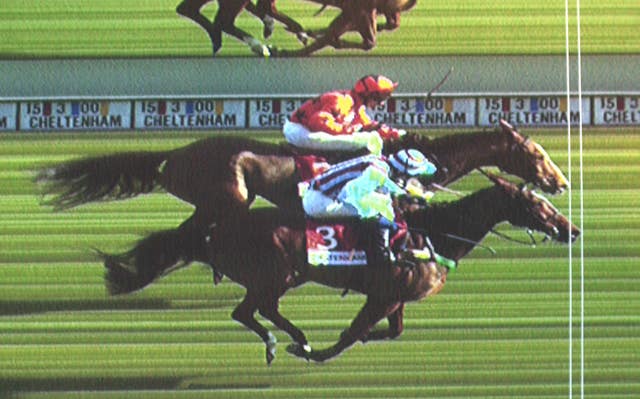 Edredon Bleu's Champion Chase victory under Tony McCoy was one of the great Cheltenham races