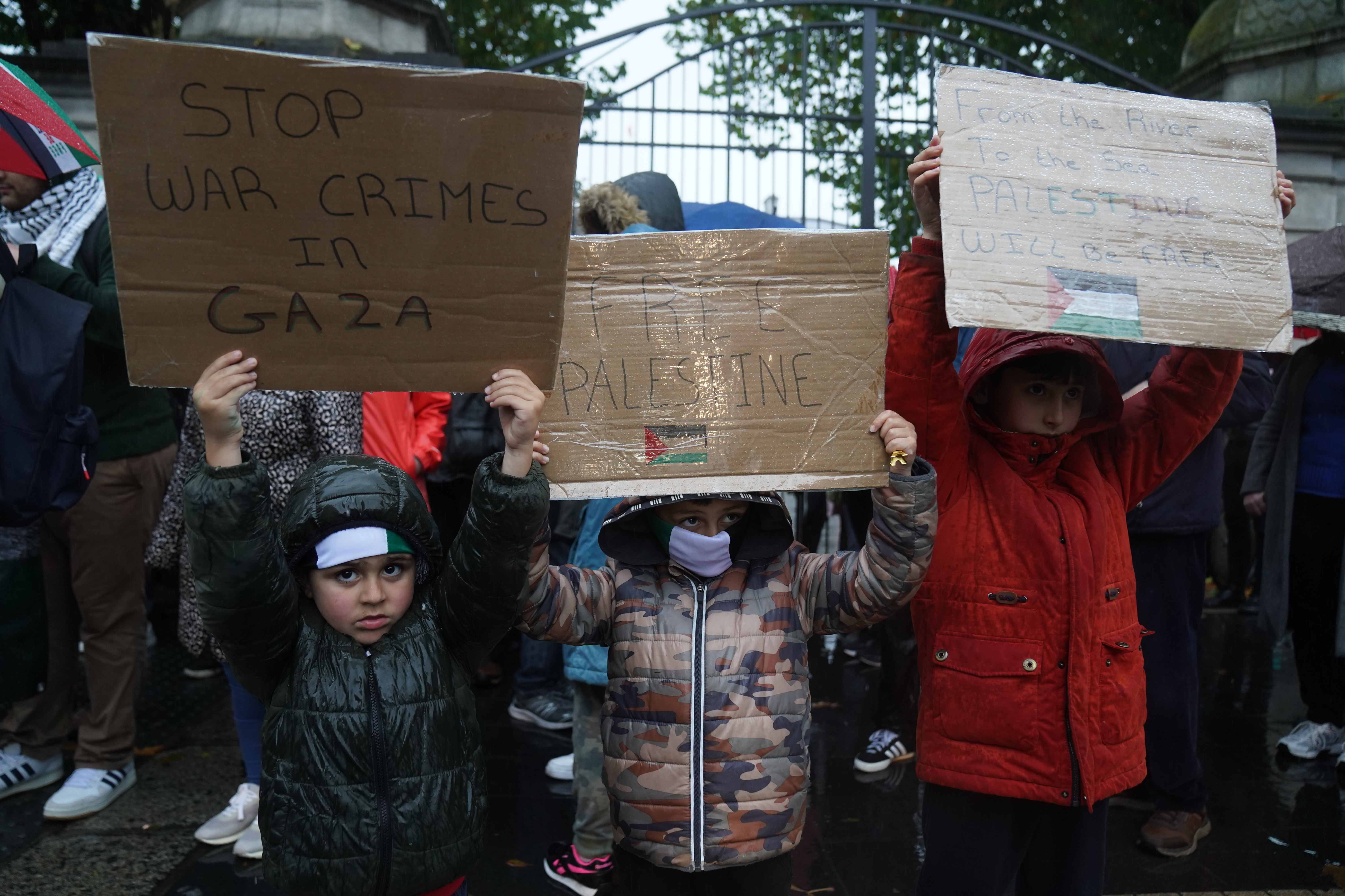 Brothers Ryan Atmeh, four, Sahem Al din Atmeh, six, and Karim Atmeh, eight,from Skerries, Co. Dublin, pro-Palestinian protesters at a demonstration outside Leinster House
