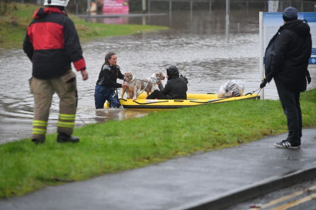A member of the public and their dogs are rescued