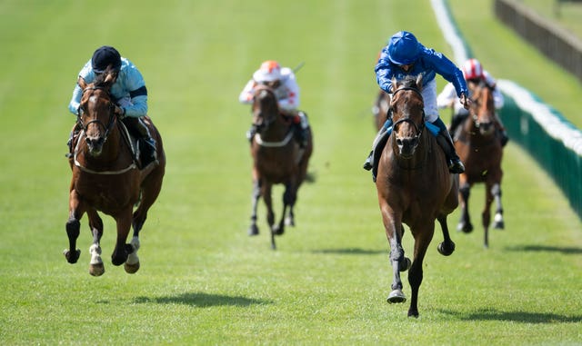 Volkan Star (right) had Dante winner Thunderous behind him last time out
