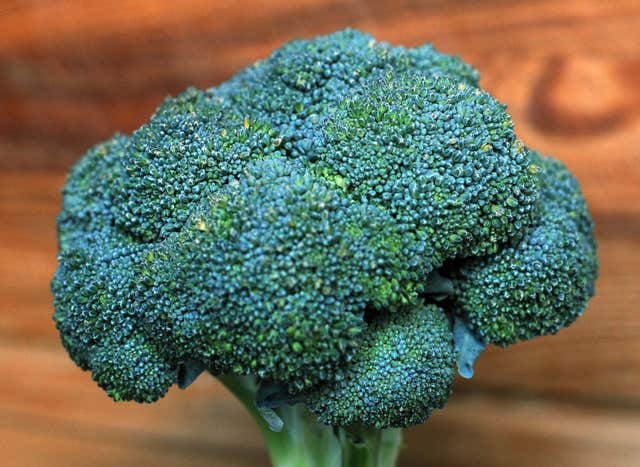 The cost of broccoli has increased significantly on this time last year.