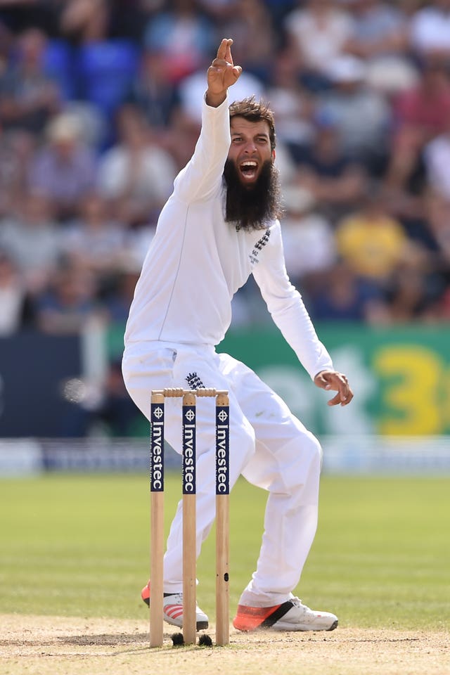 Moeen Ali made his Ashes debut in the first Test at Cardiff in the 2015 series (Joe Giddens/PA).