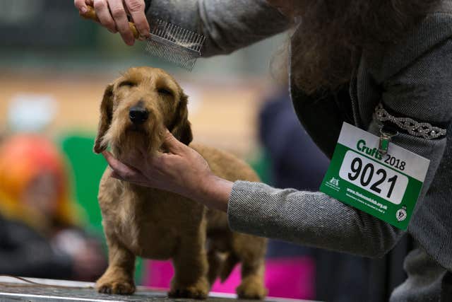 Crufts 2018