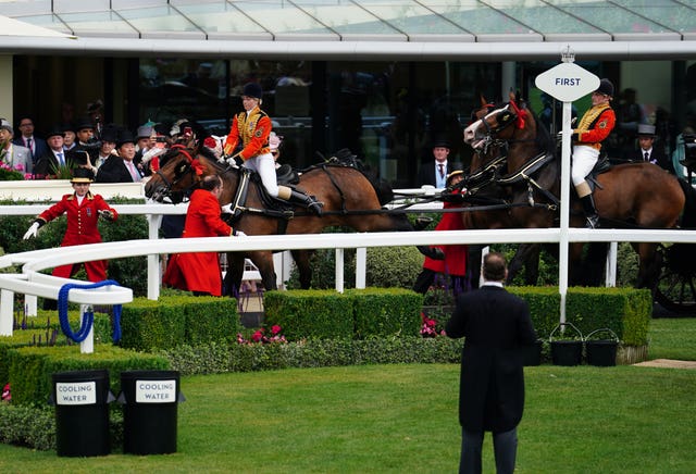 It all got a bit too much for one of the horses in the royal procession though, with their handler expertly diffusing the situation