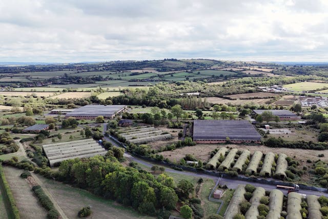 Piddington referendum