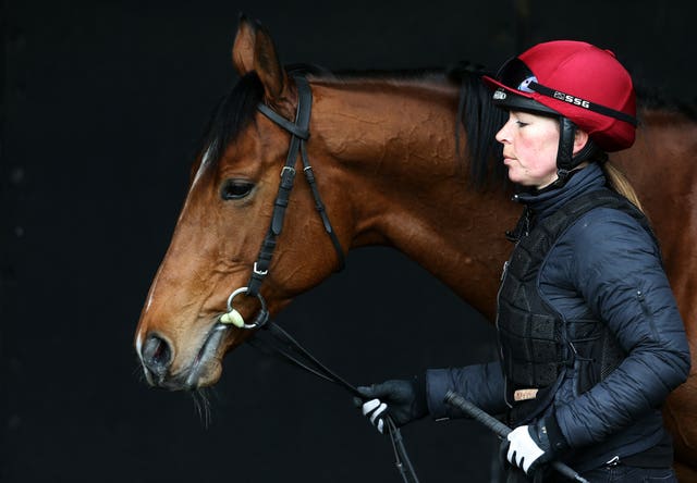 Saxon Warrior at Ballydoyle