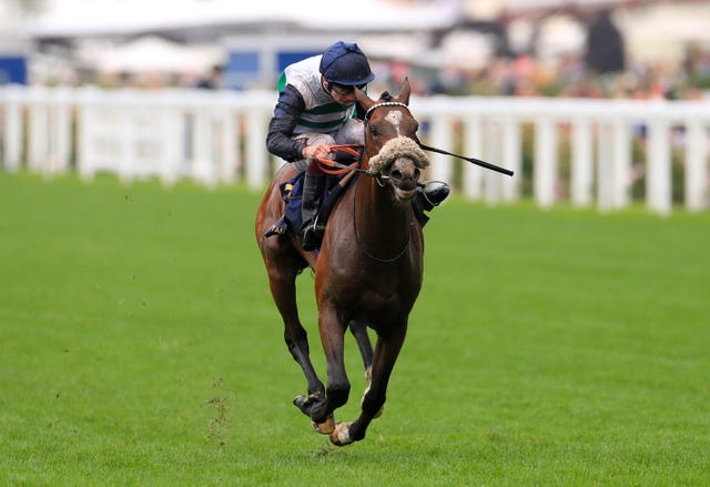 Dashing Willoughby impressed with his Queen's Vase win