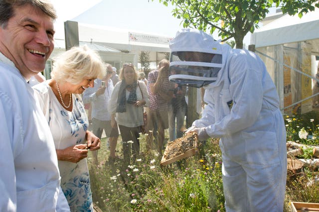 The Duchess of Cornwall