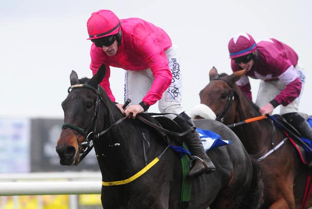 Snow Falcon is a possible for Noel Meade