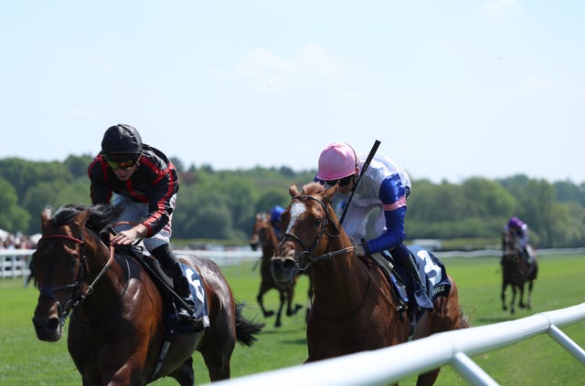 Maltese Cross (left) edged out Bay Of Brilliance at Lingfield