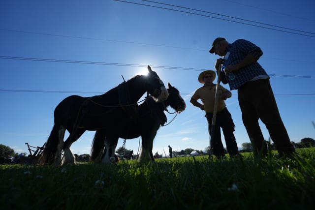 National Ploughing Championships 2024
