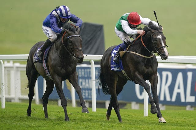 Pyledriver (right) winning last year's Coronation Cup
