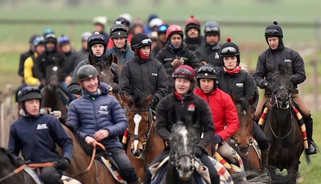 Horses return from the Seven Barrows gallops