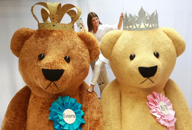 Teddy bears