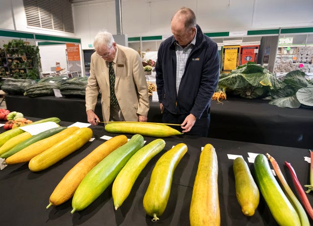 Harrogate Autumn Flower Show giant vegetable competition