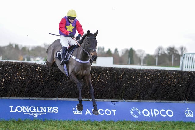Dashel Drasher in action at Ascot
