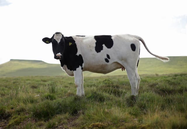 antibiotics in agriculture