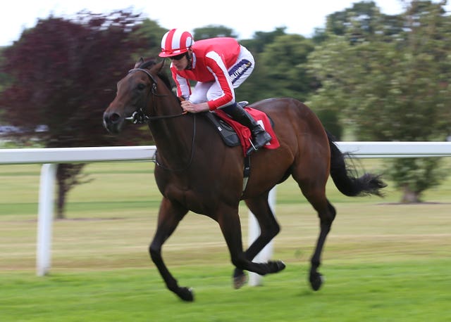 Rocket Rodney winning Sandown