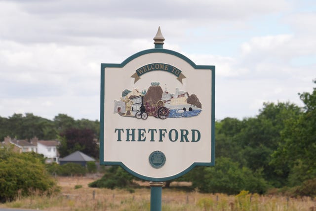 Thetford disorder