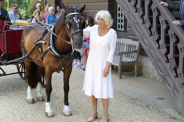 Camilla with a carriage horse