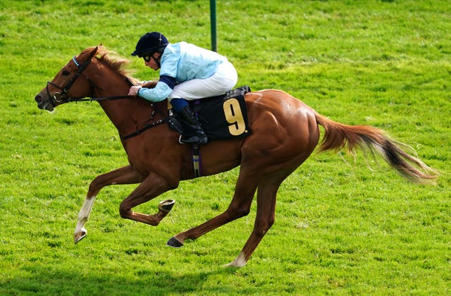 Soprano looked the part on her Newmarket introduction