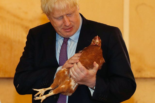 Boris Johnson inspects the chickens at Shervington Farm