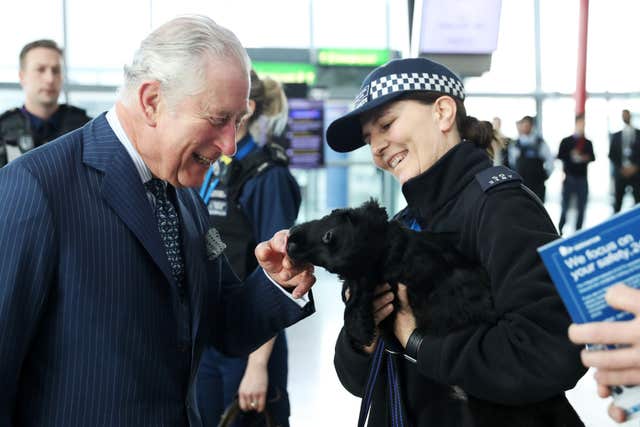 The Prince of Wales meets a Cocker Spaniel named Ned, a trainee explosives search dog, during a visit to Heathrow (Chris Jackson/PA)