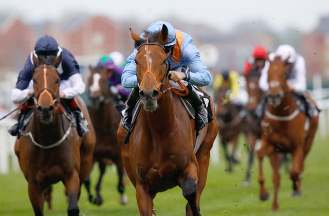Raymond Tusk could tackle the Dubai Duty Free Finest Surprise Stakes