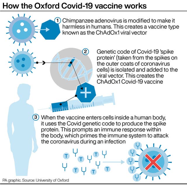 Coronavirus graphic