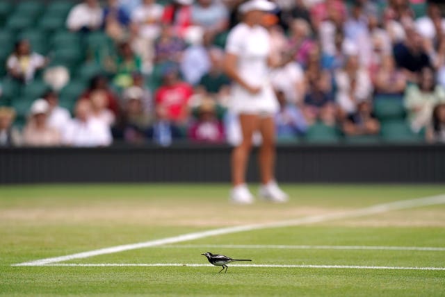 Wimbledon 2022 – Day Eight – All England Lawn Tennis and Croquet Club
