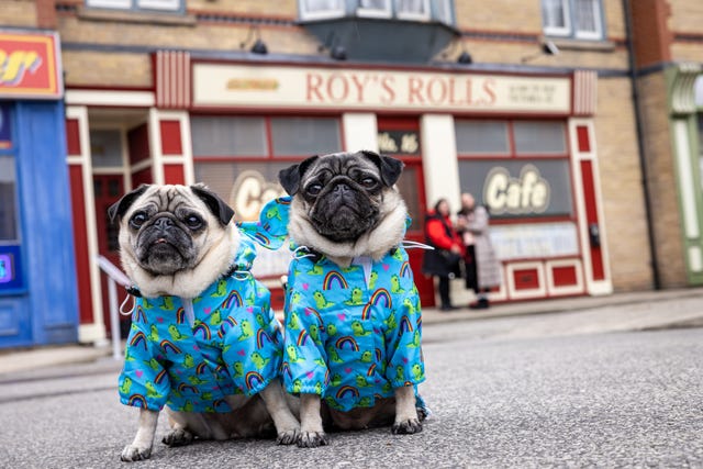 Coronation Street’s ‘Canineration Street’